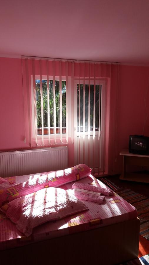 Casa Andreea-Maria Hotel Vartop Bagian luar foto